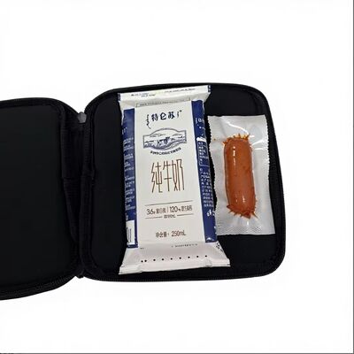 Custom Portable Sandwich Heating Bag USB Electric 12v Food Warmer for Car Household & Outdoor Use Eco-Friendly Travel Men Woman