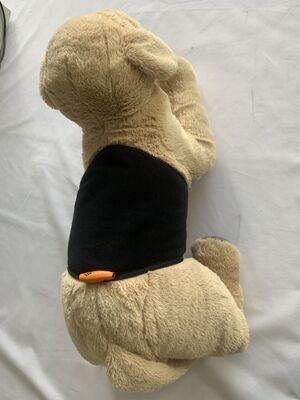 Cinturón de calentamiento de cintura para mascotas diseñado para uso diario con tela flexible y carga USB para soporte y calidez de cintura de mascotas